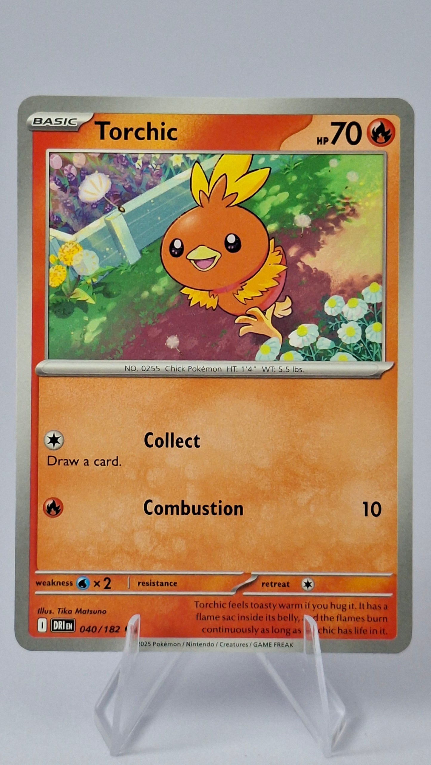 Blaziken Evolution Line - Torchic + Combusken + Blaziken (Cosmos Holo)