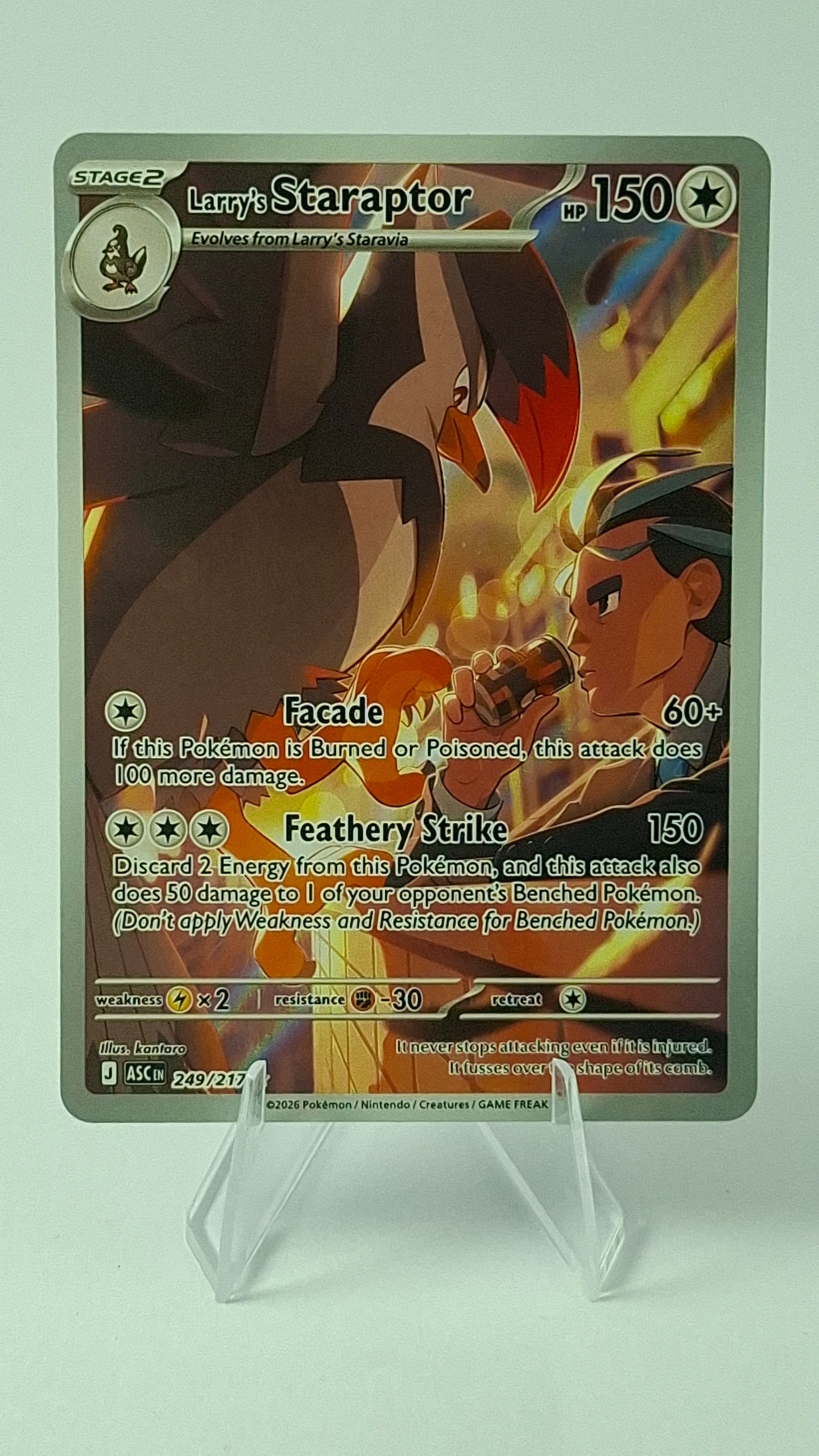 Larry's Staraptor 249/217 - Ascended Heroes Illustration Rare