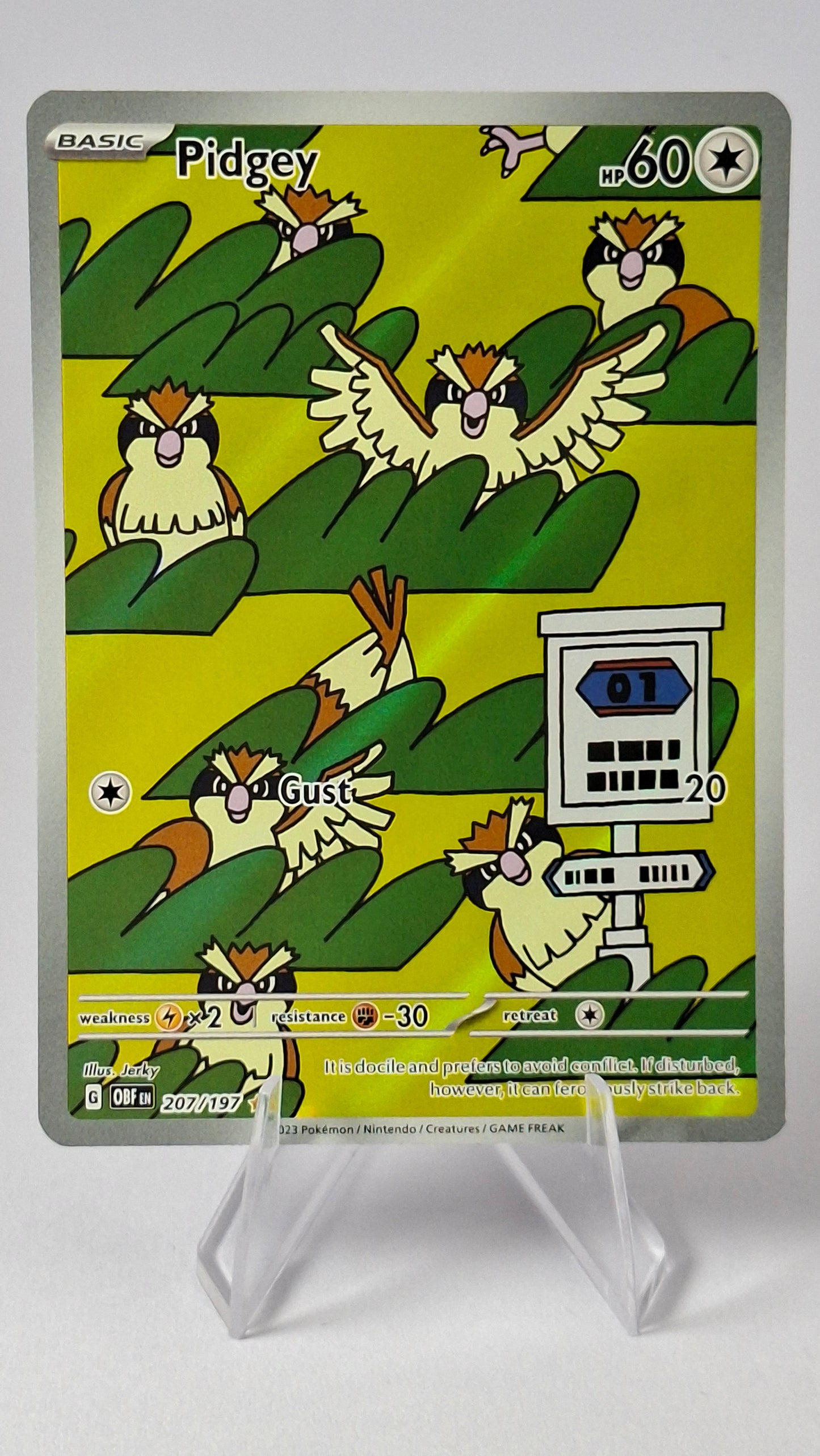 Pidgey Obsidian Flames Illustration Rare 207/197