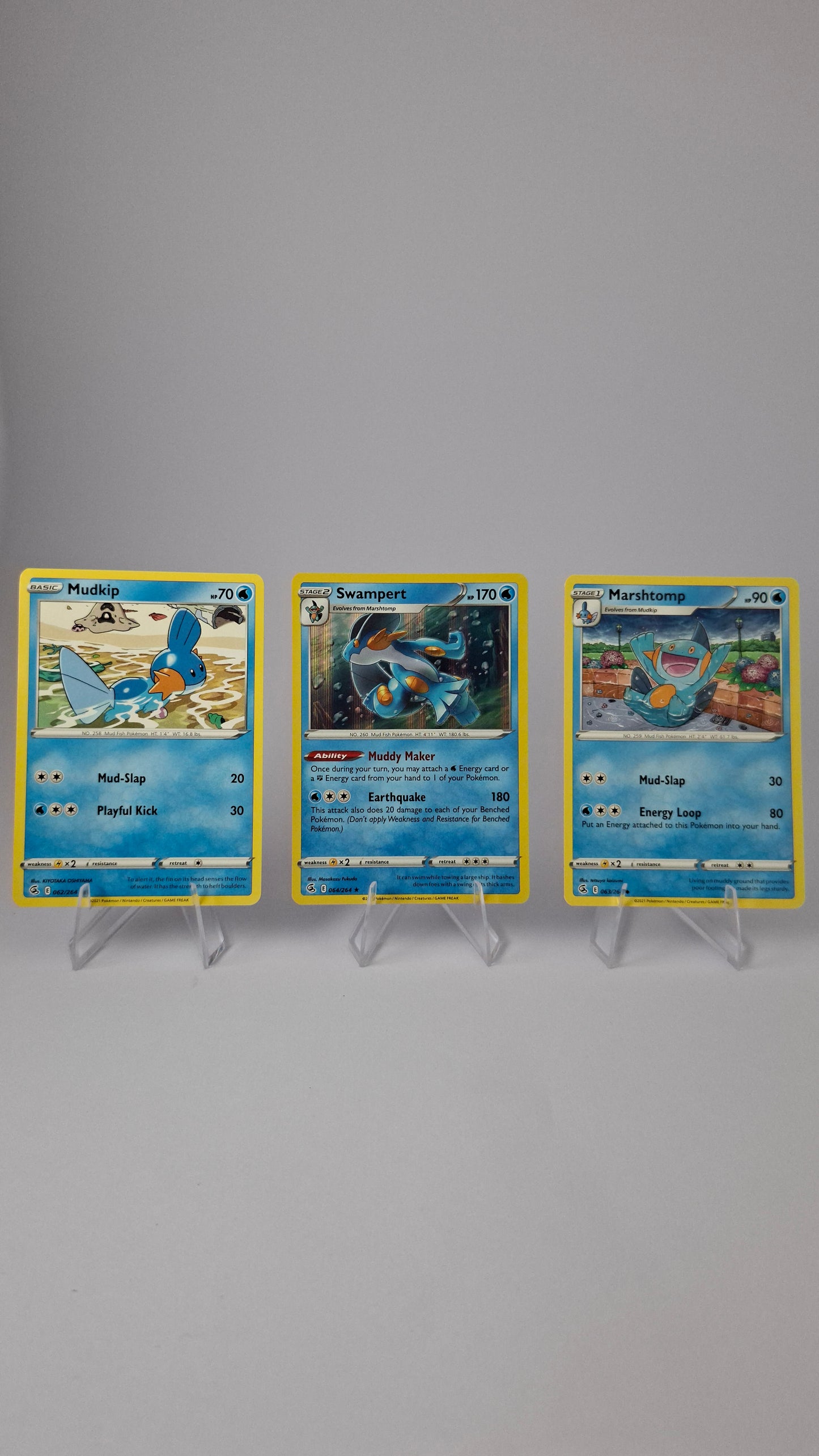 Swampert Evolution Line - Mudkip + Marshtomp + Swampert (Holo Rare)